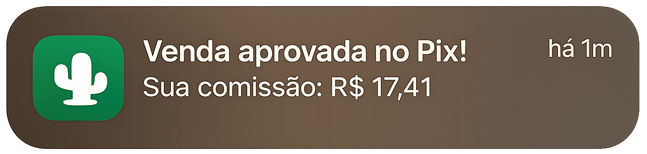 Notificação de Pix